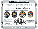 sito web